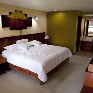 Habitación con Cama King